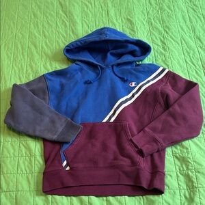 Champion Reverse Weave Hoodie